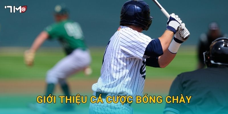 Giới thiệu cá cược bóng chày