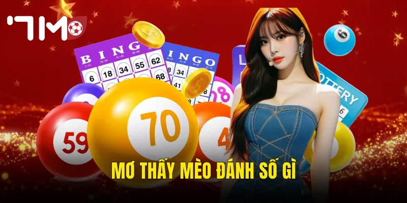 Mơ thấy mèo đánh số gì