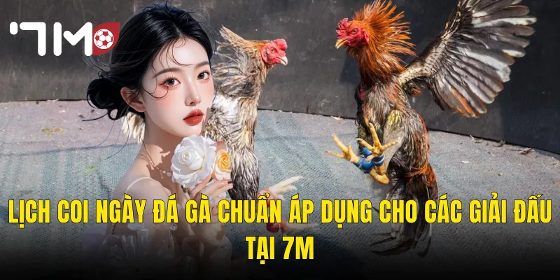 Coi Ngày Đá Gà – Chọn Giờ Hoàng Đạo Để Thắng Lớn Cùng 7m 3 Lịch Coi Ngày Đá Gà Chuẩn Áp Dụng Cho Các Giải Đấu Tại 7m