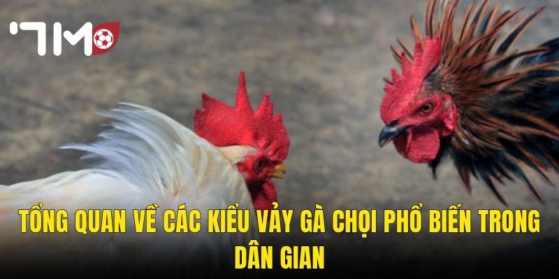 Tổng Quan Về Các Kiểu Vảy Gà Chọi Phổ Biến Trong Dân Gian