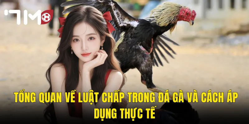 Tổng Quan Về Luật Chấp Trong Đá Gà Và Cách Áp Dụng Thực Tế