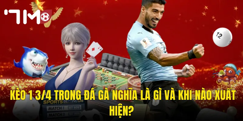 Kèo 1 3/4 Trong Đá Gà Nghĩa Là Gì Và Khi Nào Xuất Hiện?