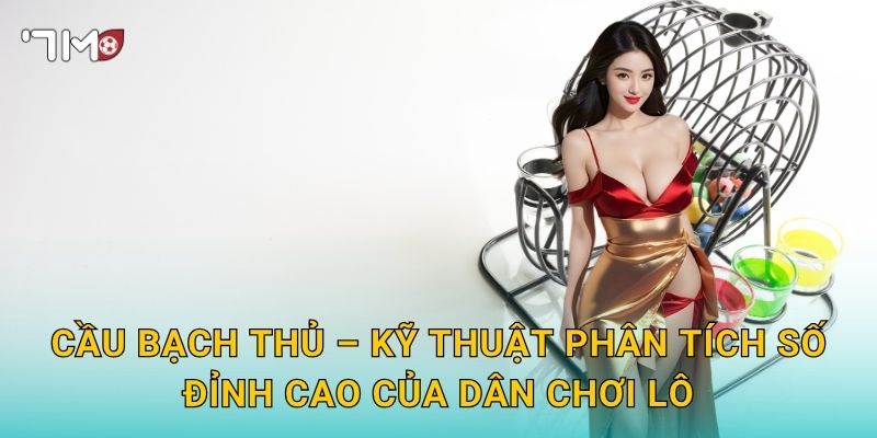 Cầu Bạch Thủ 7m – Nghệ Thuật Chọn Một Con Số Thắng Cả Tuần 2 Cầu Bạch Thủ – Kỹ Thuật Phân Tích Số Đỉnh Cao Của Dân Chơi Lô