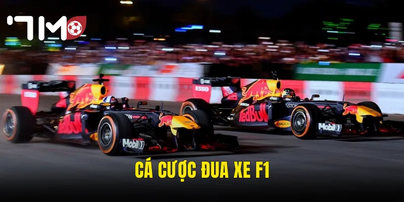 Cá Cược Đua Xe F1 Tại 7m – Tốc Độ Nghẹt Thở Và Cơ Hội Thắng Lớn Mỗi Chặng 1 cá cược đua xe F1